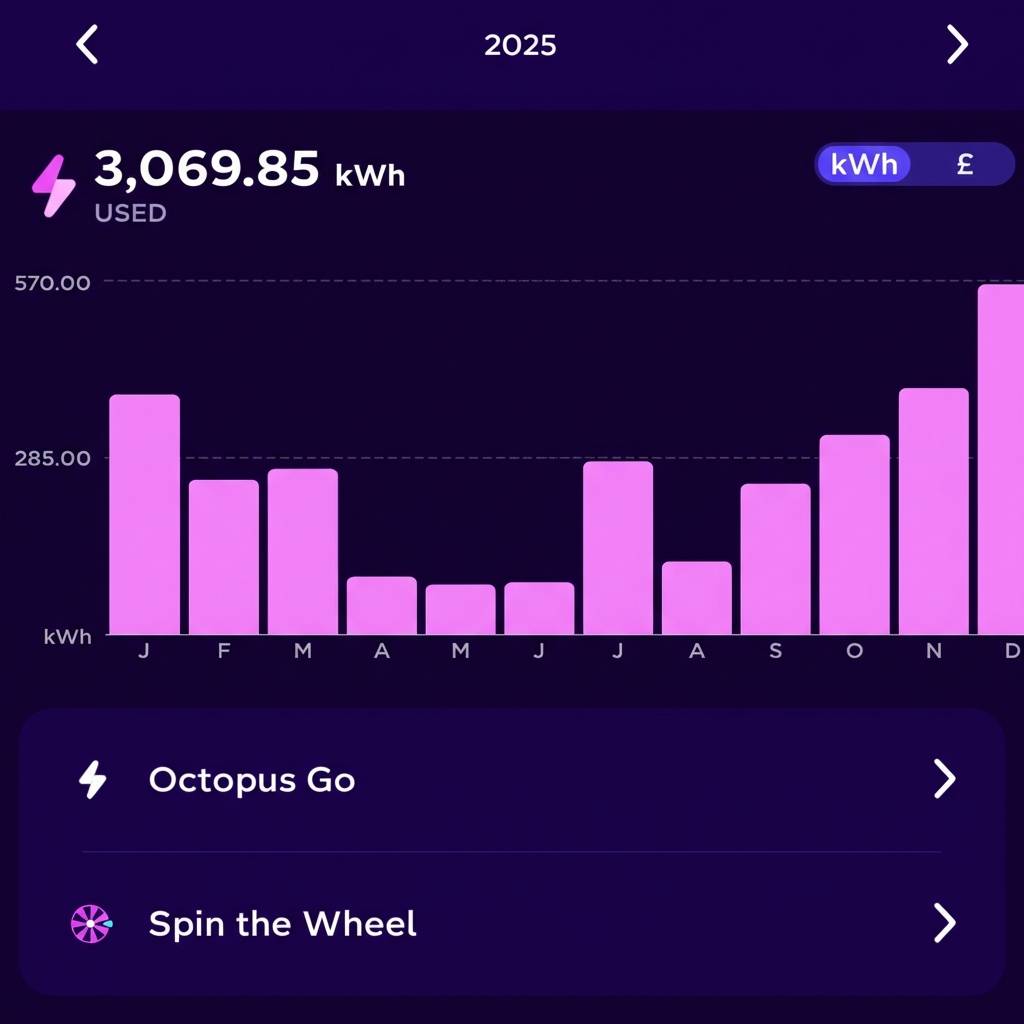 Octopus Energy 2025 usage graph confirming low summer grid reliance